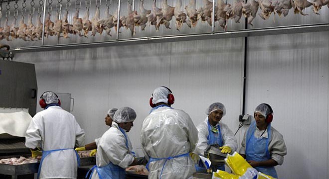 Food process: Workers at the slaughterhouse in Brazil: When the raw meat arrives in the UK it is pumped up with as much almost 20 per cent water and additives 
