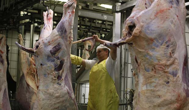A slaughterer works with beef carcasses in the Biernacki Meat Plant slaughterhouse in Golina near Jarocin, western Poland, on July 17. Photo by Kacper Pempel/Reuters