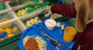 school meals