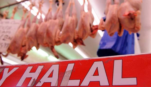 UK blocked EU labelling of halal meat stunned before slaughter